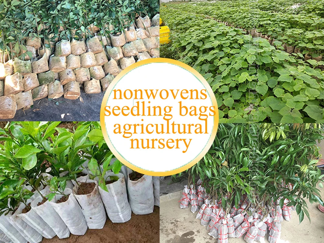 Woven plant bags online