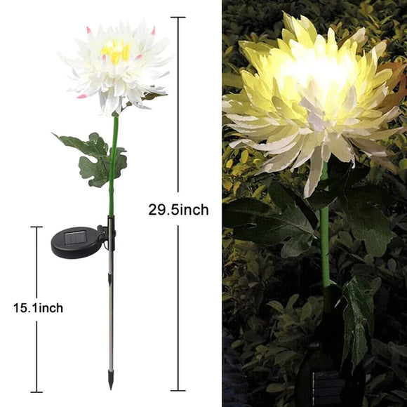 Solar Chrysanthemum Light Outdoor Garden Simulation Flower Grass Lights IP65 Waterproof Garden Floor Lamp Garden Decorative Lamp