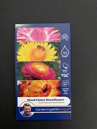 Angus seeds Mixed colour strawflowers seeds