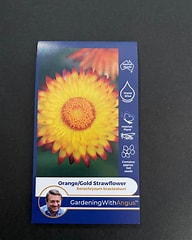 Angus seeds Orange / Gold strawflowers seeds