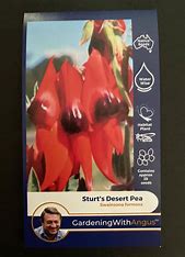 Angus seeds Sturt Desert Pea seeds