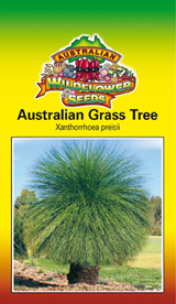 Australian Grass Tree - Xanthorrhoea PresIssii seeds