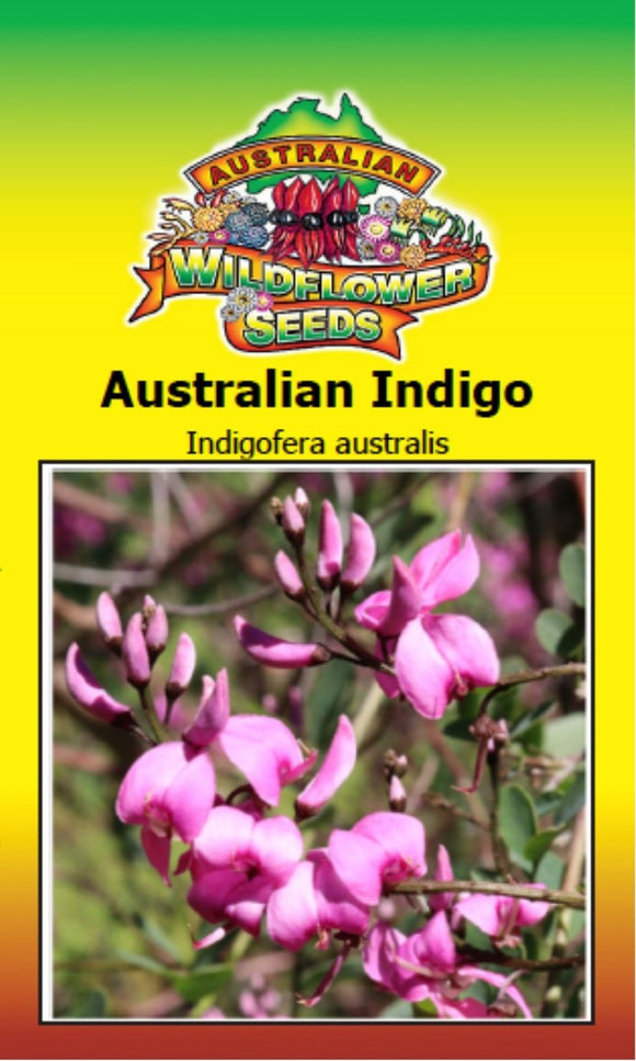 indigofera-australis-australian-indigo-seeds