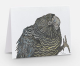 Black Cockatoo greeting  Card by Samara Dixon