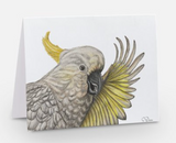 Blank Cockatoo greeting card by Samara Dixon