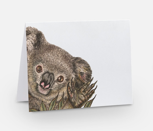 Blank Koala greeting card by Samara Dixon