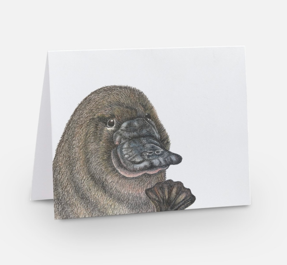 Blank platypus greeting card by Samara Dixon