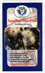 Tasmanian Blue Gum - Eucalyptus globulus seeds