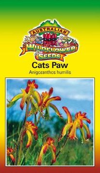 Cats Paw - Anigozanthos humiliation seeds