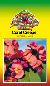 Coral Creeper - Kennedia Coccinea seeds