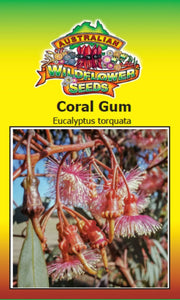 Coral Gum - Eucalyptus - Eucalyptus Torquata seeds