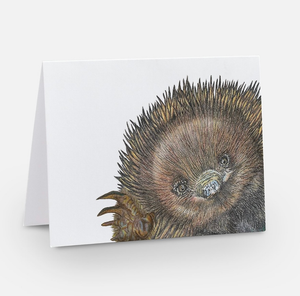 Echidna Blank greeting card by Samara Dixon