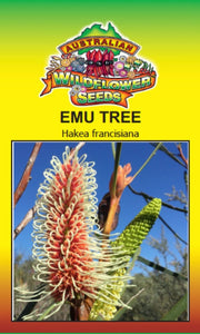 hakea-francisiana-emu-tree-seeds