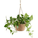 Woven Straw Hanging Planter