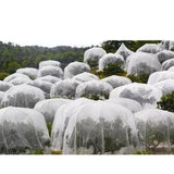 1mm Aperture Mesh Vegetable Fruit Cover