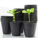 50/100pcs Plastic Plant Nursery Flowerpot