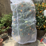 Bug Net Insect Netting Fruit Trees