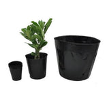 50/100pcs Plastic Plant Nursery Flowerpot