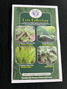 Fern Collection - Manfern Soft Tree Fern, Rough Tree Fern, Fishbone Water Fern, King Fern