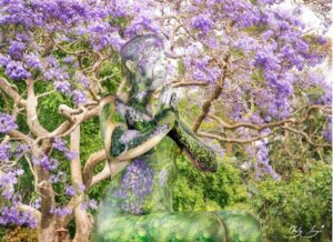 orly-fayas-jacaranda-blues-fine-art-print