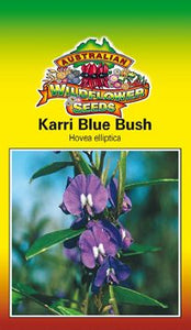 Karri Blue Bush - hovea elliptica