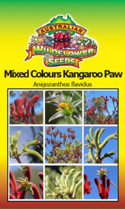 Mixed Colour Kangaroo Paw - Anigozanthos flavidus