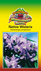 Hardenbergia Native Wisteria seeds