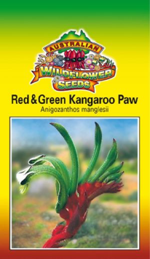 Red & Green Kangaroo Paw - Anigozanthos manglessii seeds