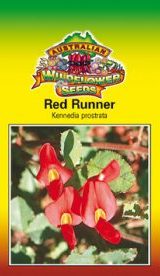 Running Postman - Kennedia prostrata seeds