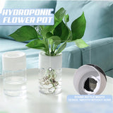 Hydroponic Flower Pot Home Vase Decor Transparent Imitation PET Plastic Plant Pots Green Plants Pot For Home Decoration