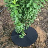 Tree Protection Weed Mats