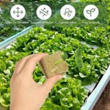 Stonewool Hydroponic Grow Media Cubes Plant Cube Soilless Substrate Seeded Planting Spong Plug Seedling Block Garden Tools