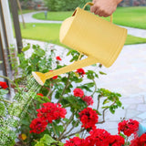 Watering Can Long Spout Water Can with Detachable Spray Head 2L Flower Watering Can Water Can for Plants for House Plant Home