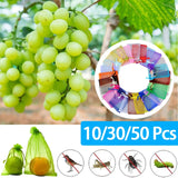 10/50pcs Fruit Protection Bags