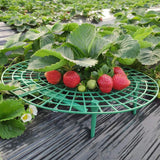 5PCS Gardening Stand Strawberry Stand Frame Holder Balcony Planting Rack Fruit Support Plant Flower Climbing Vine Pillar