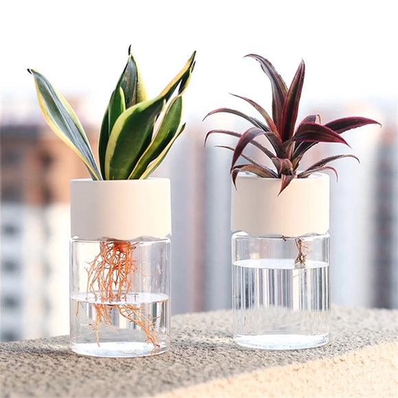 Hydroponic Flower Pot Home Vase Decor Transparent Imitation PET Plastic Plant Pots Green Plants Pot For Home Decoration