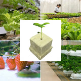 50pcs 25x25x25mm Stonewool Hydroponic Grow Media Cubes Plant Cubes Soilless Substrate Seeded Rock Wool Plug Seedling Block