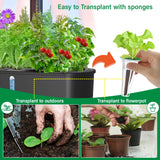 128PCS General Soil Hydroponic Growing Pods