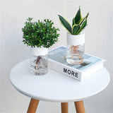 Hydroponic Flower Pot Home Vase Decor Transparent Imitation PET Plastic Plant Pots Green Plants Pot For Home Decoration