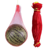 100Pcs Hanging  Grow Net Bags