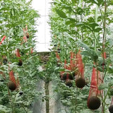 100Pcs Hanging  Grow Net Bags