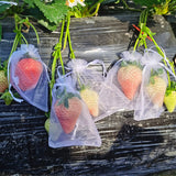 10/50pcs Fruit Protection Bags