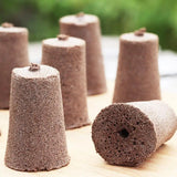 12Pcs Seed Pod Sponges