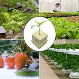 Stonewool Hydroponic Grow Media Cubes Plant Cube Soilless Substrate Seeded Planting Spong Plug Seedling Block Garden Tools