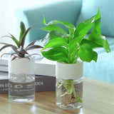 Hydroponic Flower Pot Home Vase Decor Transparent Imitation PET Plastic Plant Pots Green Plants Pot For Home Decoration