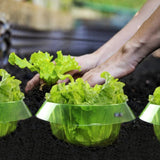 5/10Pcs Snail Protection Rings Vegetable Green Planter Flower Pot Pest Control Trapper Repel Snails For vegetable garden limaces