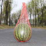 100Pcs Hanging  Grow Net Bags