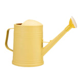 Watering Can Long Spout Water Can with Detachable Spray Head 2L Flower Watering Can Water Can for Plants for House Plant Home