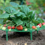 5PCS Gardening Stand Strawberry Stand Frame Holder Balcony Planting Rack Fruit Support Plant Flower Climbing Vine Pillar