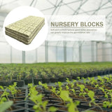 50pcs 25x25x25mm Stonewool Hydroponic Grow Media Cubes Plant Cubes Soilless Substrate Seeded Rock Wool Plug Seedling Block